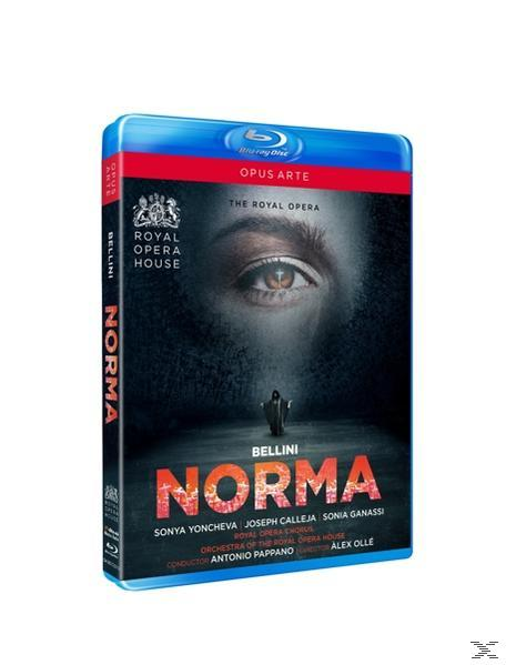 Pappano/Yoncheva/Cal - Norma  - (Blu-ray)
