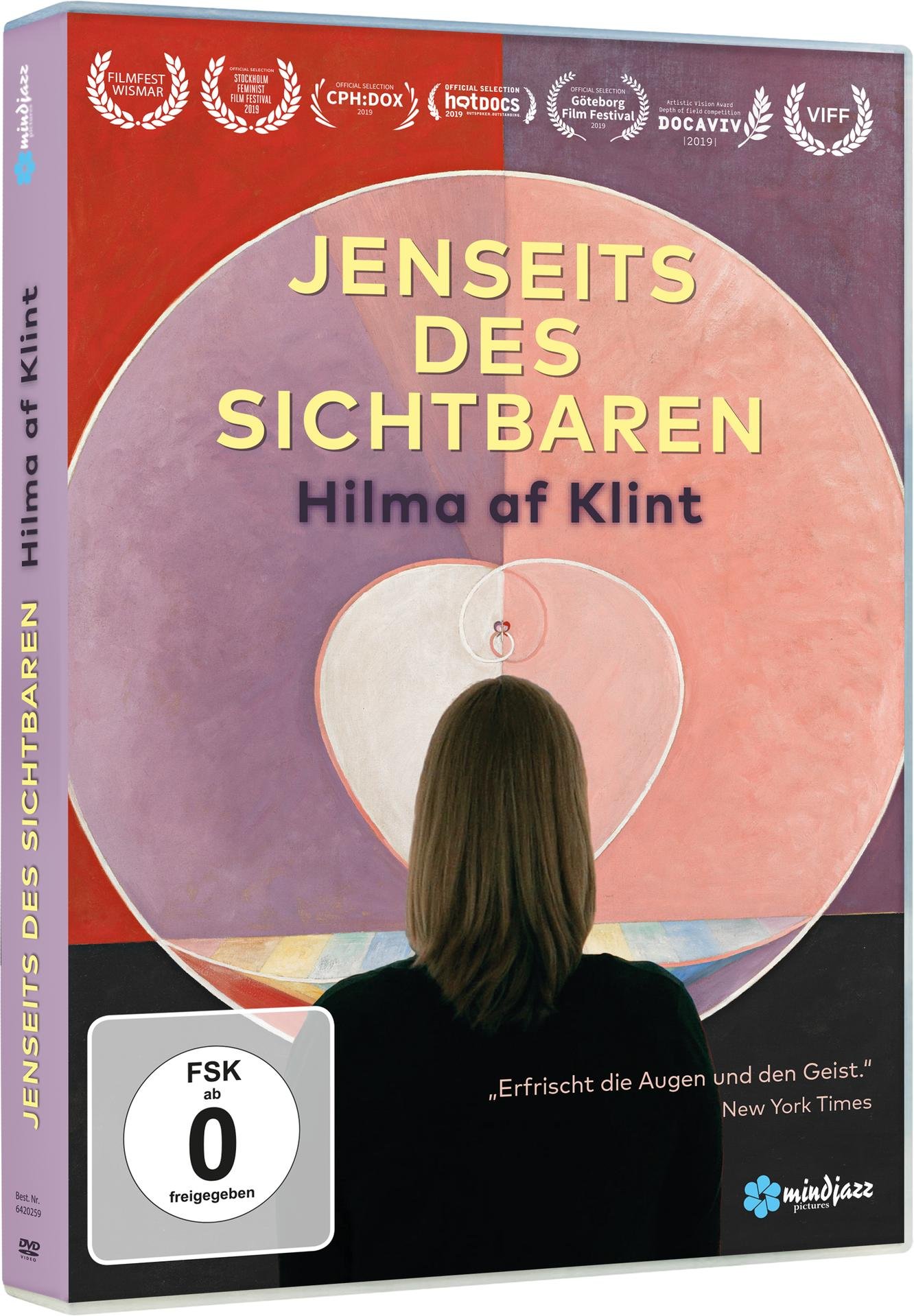 DVD-Hülle mit einem Gemälde und dem Titel Jenseits des Sichtbaren.