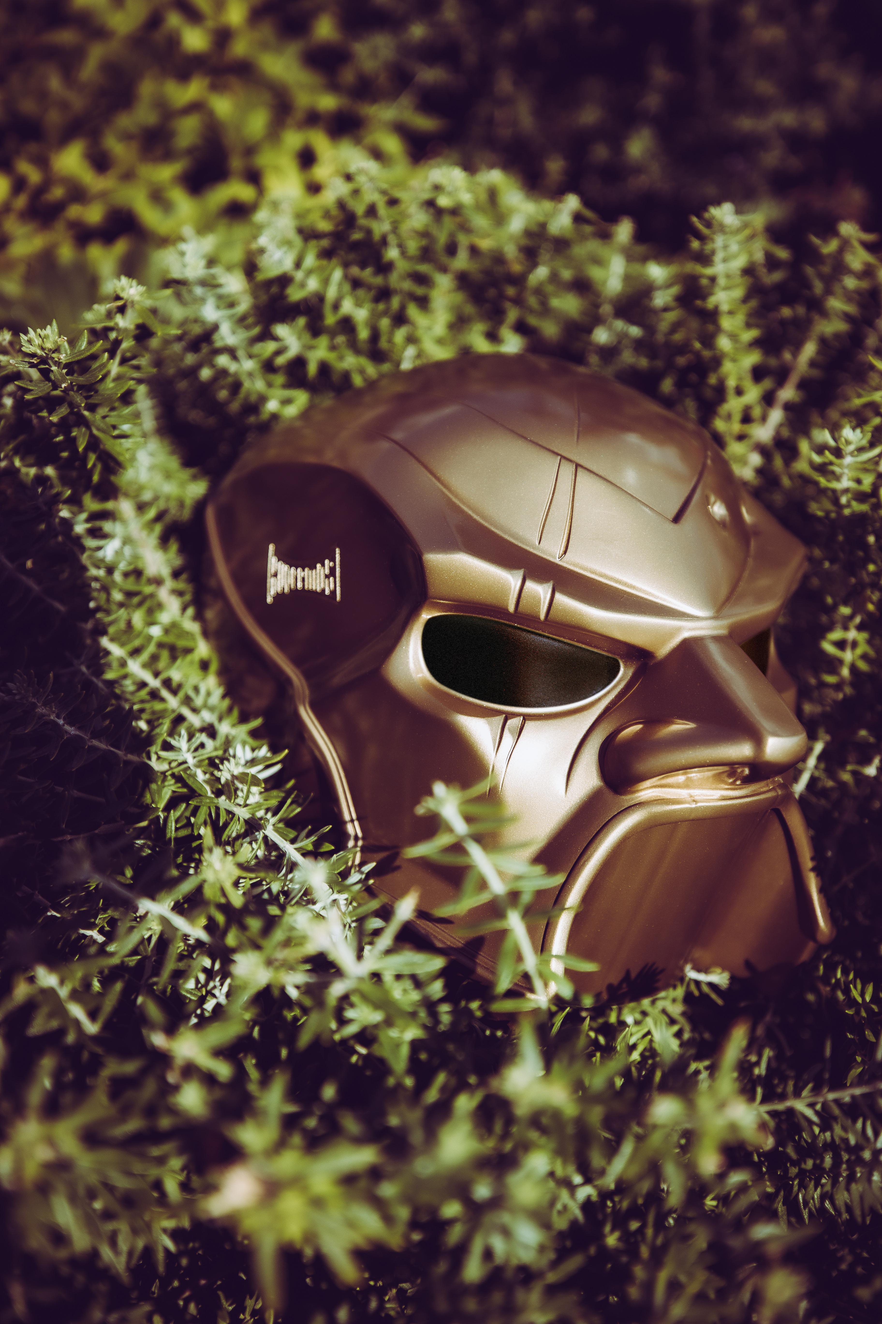 Goldene Maske in grünem Laub. Die Maske befindet sich in der Mitte, und die Blätter umgeben sie.