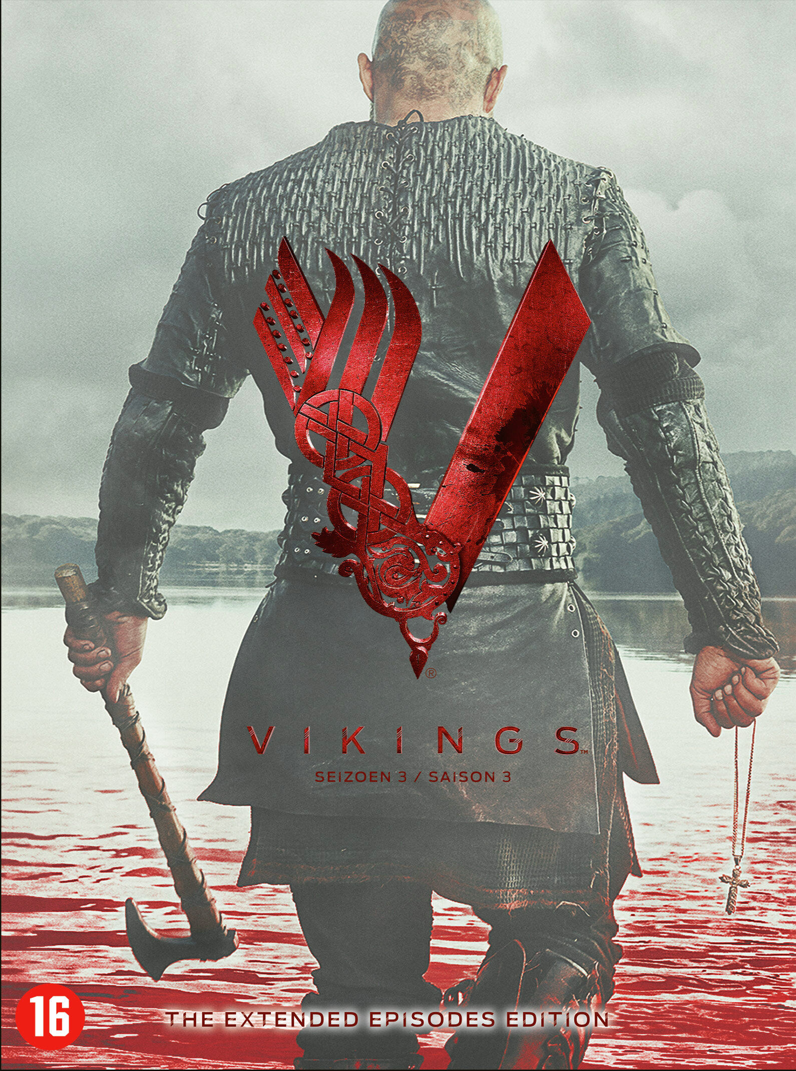 Couverture DVD Vikings. Un homme barbu en armure, dos tourné. Logo et titre rouges.