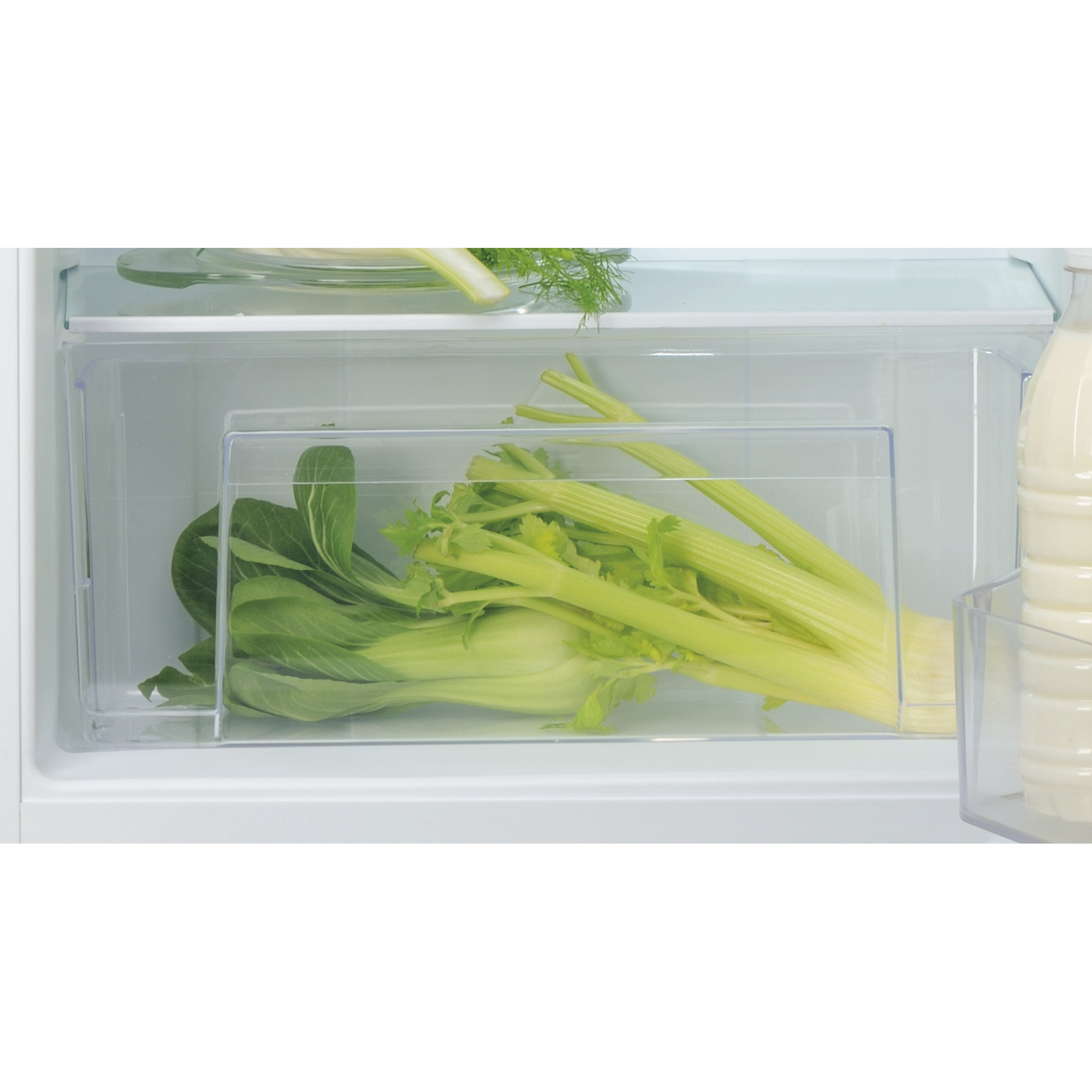 In einer Kühlschrank-Schublade mit Sellerie und Chinakohl, mit einer Milchflasche daneben.