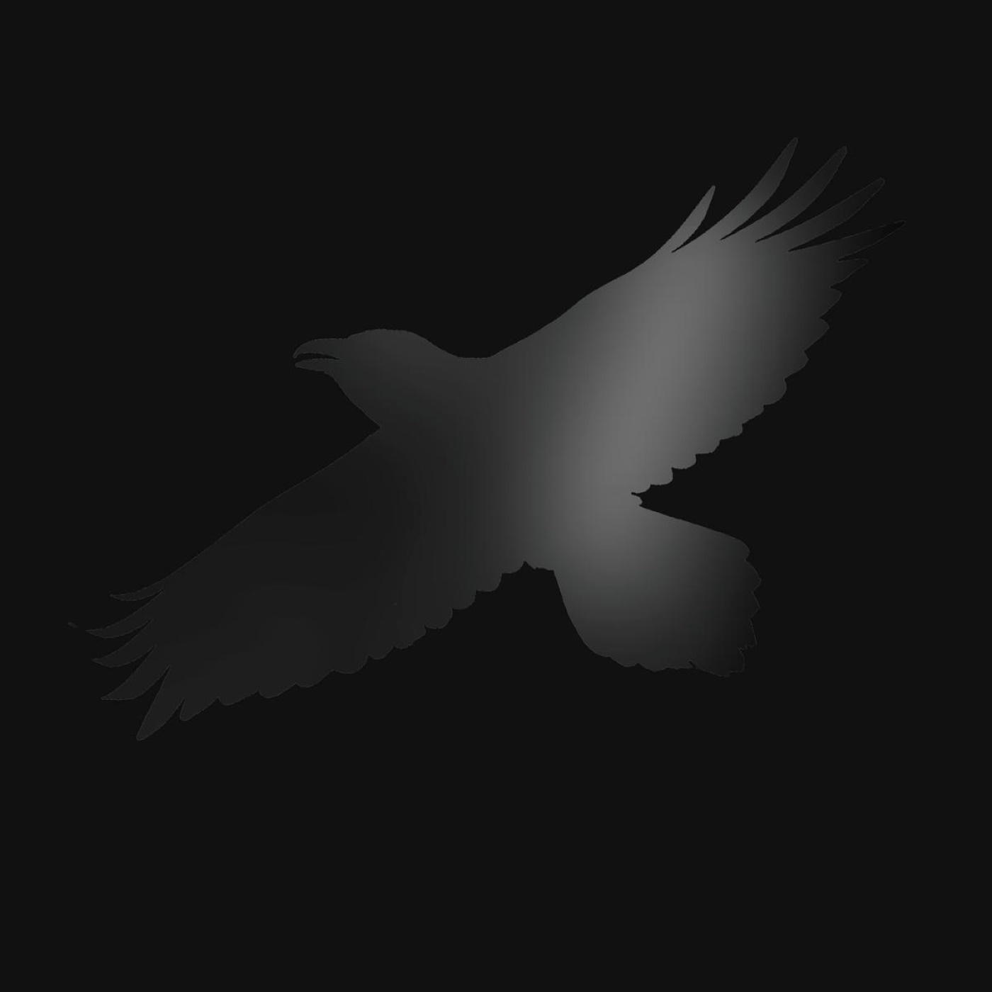 Silhouette d'un corbeau noir en vol sur fond noir.