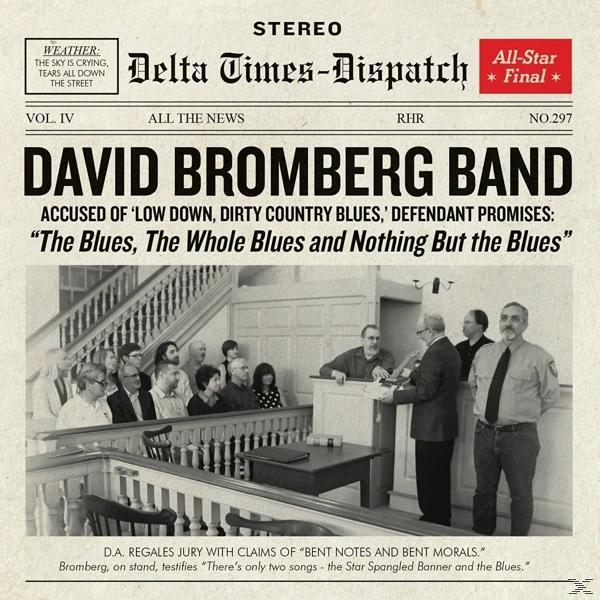 David (Vinyl) BLUES BUT THE WHOLE Bromberg - BLUES BLUES AND NOTHING -