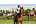 Landwirtschafts-Simulator 19 - PlayStation 4 - Tedesco