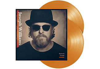 Joseph Williams - Denizen Tenant  - (Vinyl)