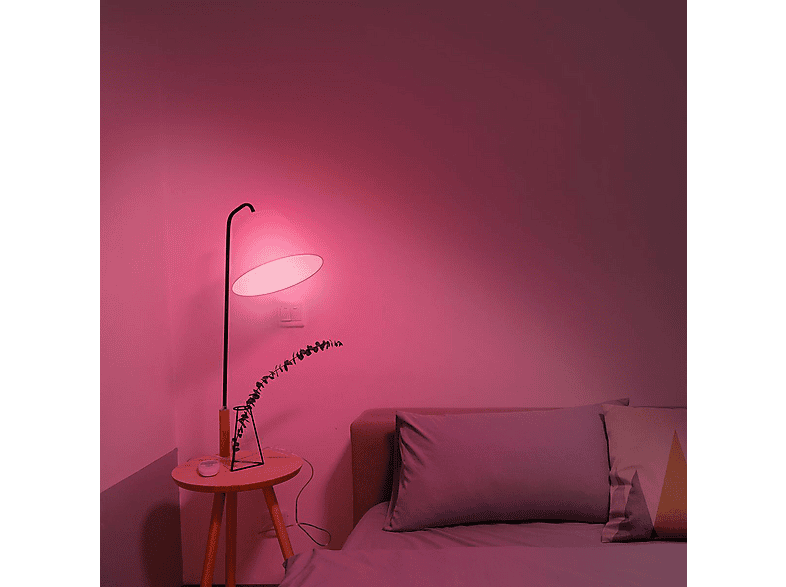 Hombli LED Glühbirne HBPP-0102, CCT/RGB, 2er Set — Foto 4 von 5
