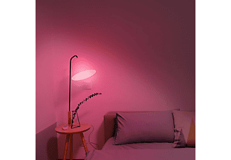HOMBLI LED Leuchte/Spot HBPP-0105, 2er Set, RGB