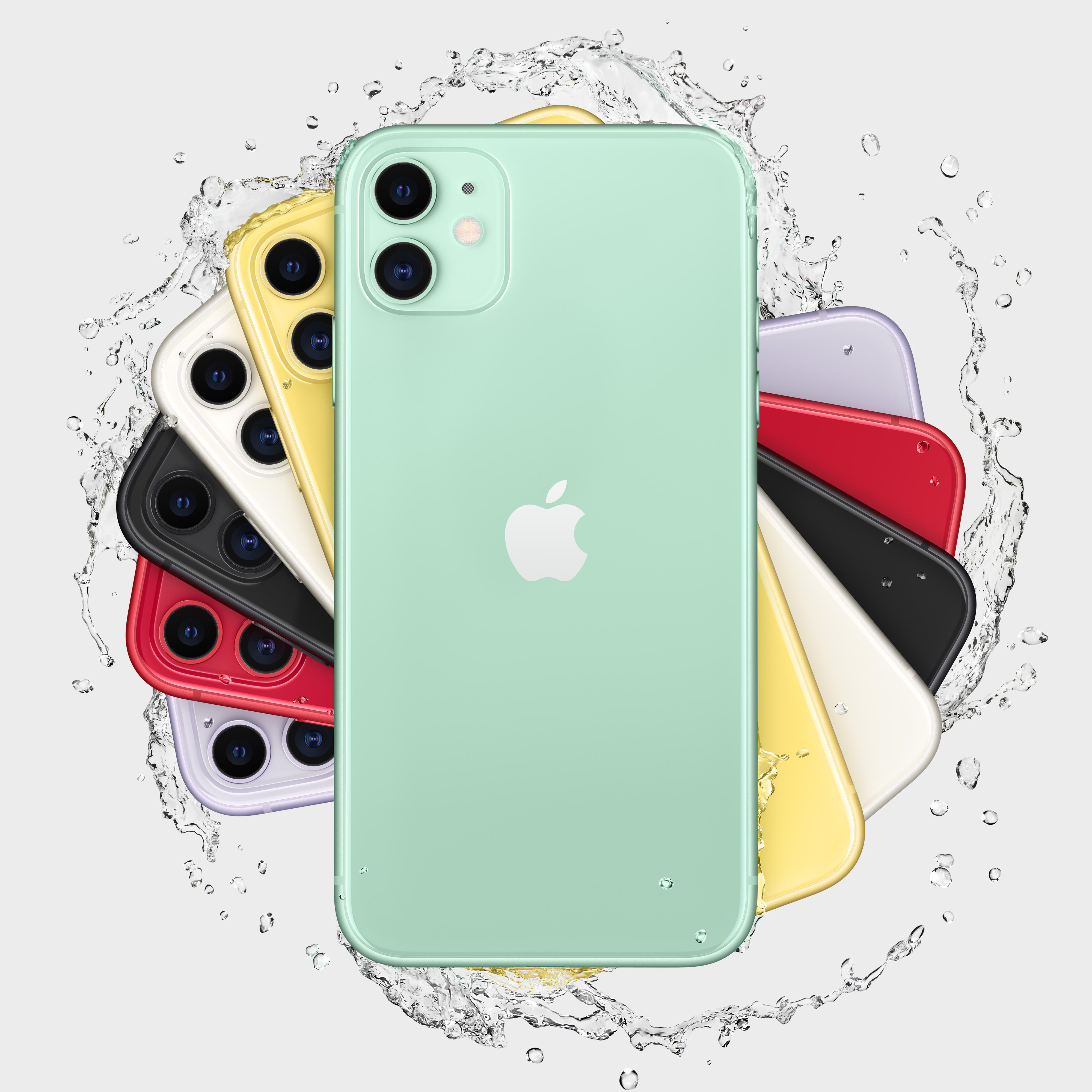 APPLE iPhone 11 NE 64 GB Grün Dual SIM