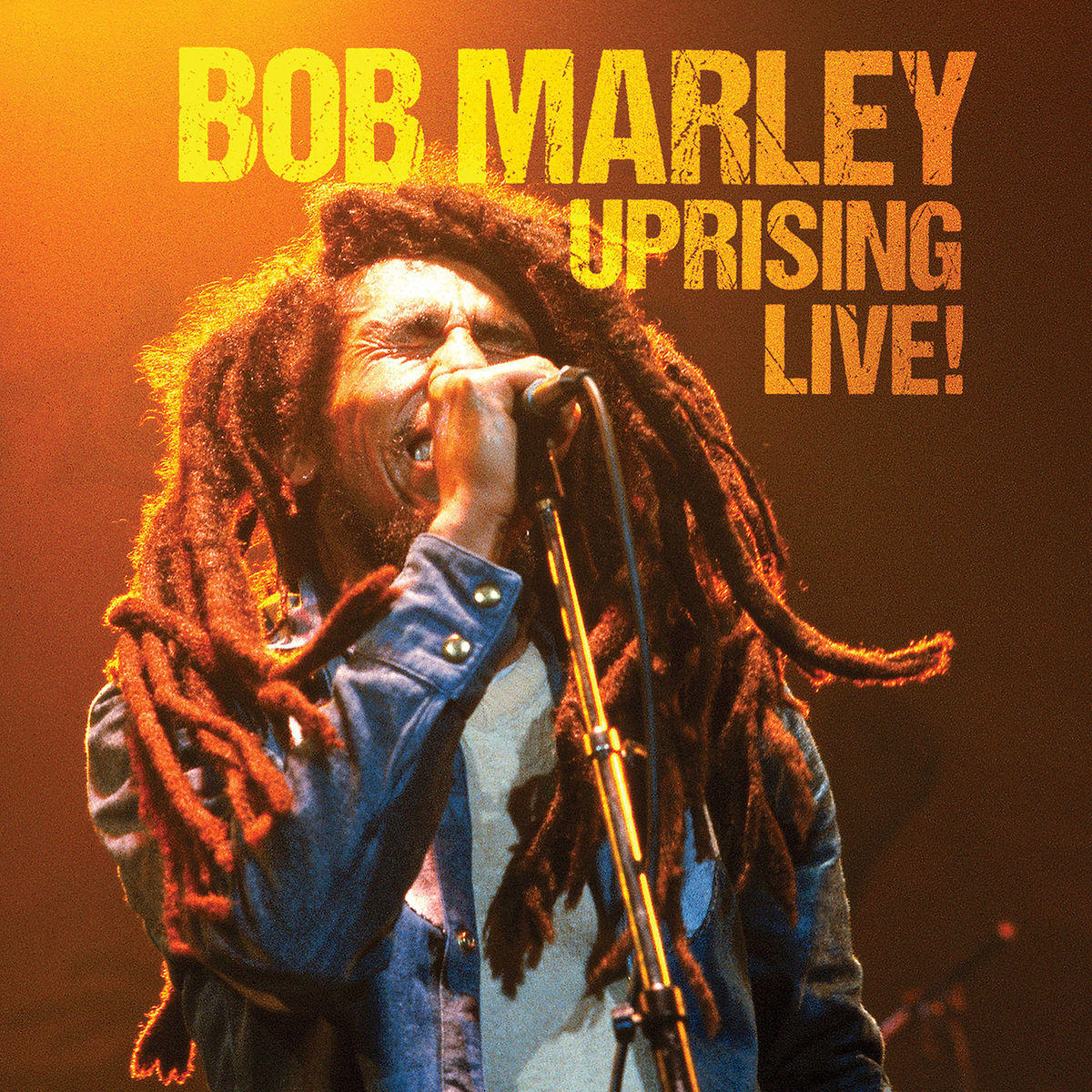 Bob Marley mikrofonba énekel. Az album címe felül van.