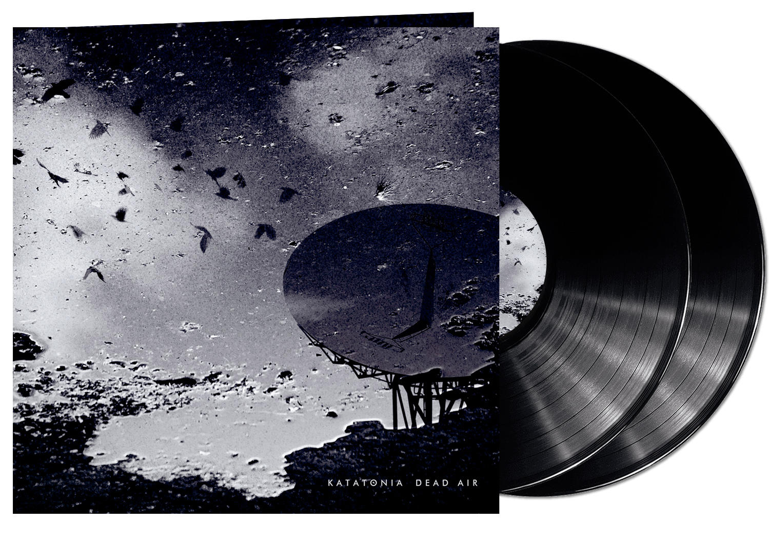 Albumcover mit Wasserspiegelung, schwarze Schallplatten.