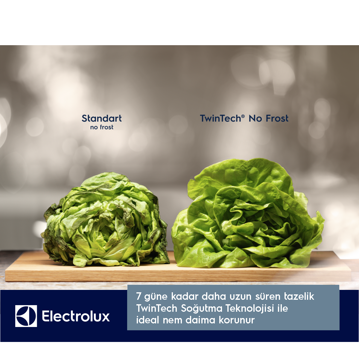ELECTROLUX LNT5MF32U0 TwinTech F Enerji Sınıfı 324L No-Frost Buzdolabı Inox