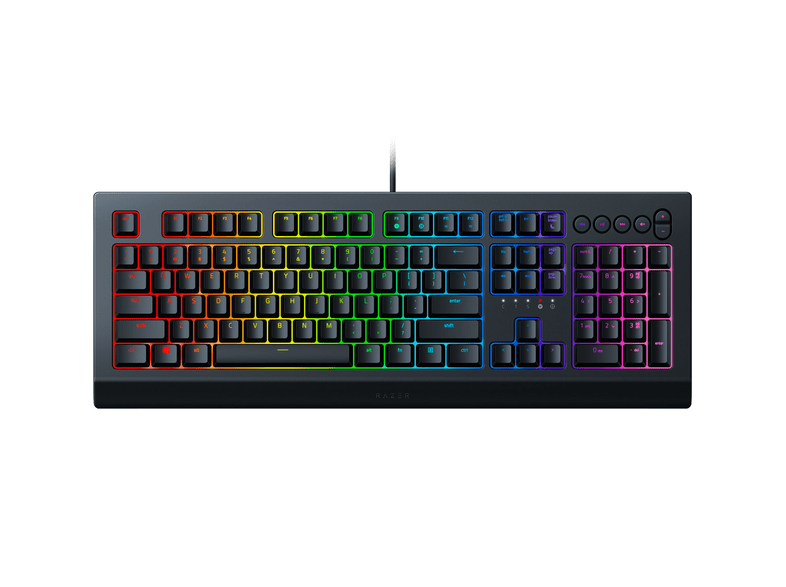 Razer Cynosa V2 Turkce Gaming Klavye Siyah Oyuncu Klavyeleri