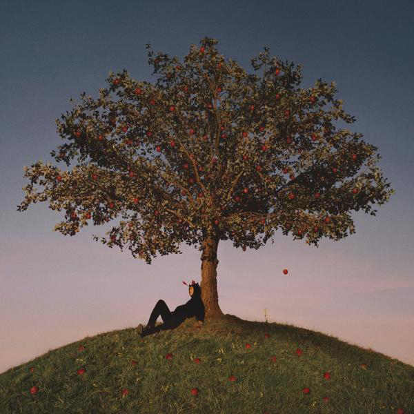 Slowthai - Tyron  - (CD)