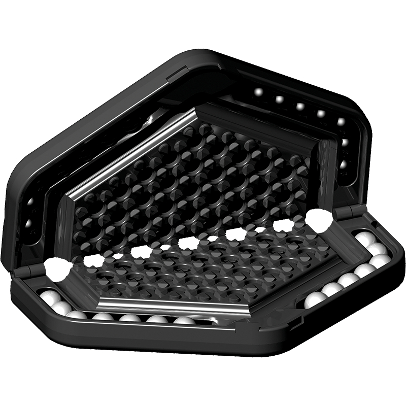 ZYGOMATIC Abalone Travel (redesigned) Gesellschaftsspiel Mehrfarbig
