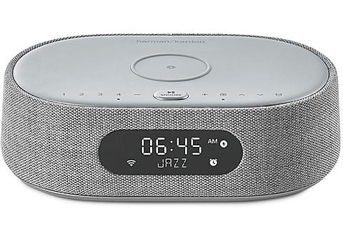 Lautsprecher HARMAN KARDON Citation Oasis Lautsprecher App-steuerbar,  Bluetooth, Grau 2 x 6 Watt RMS | MediaMarkt