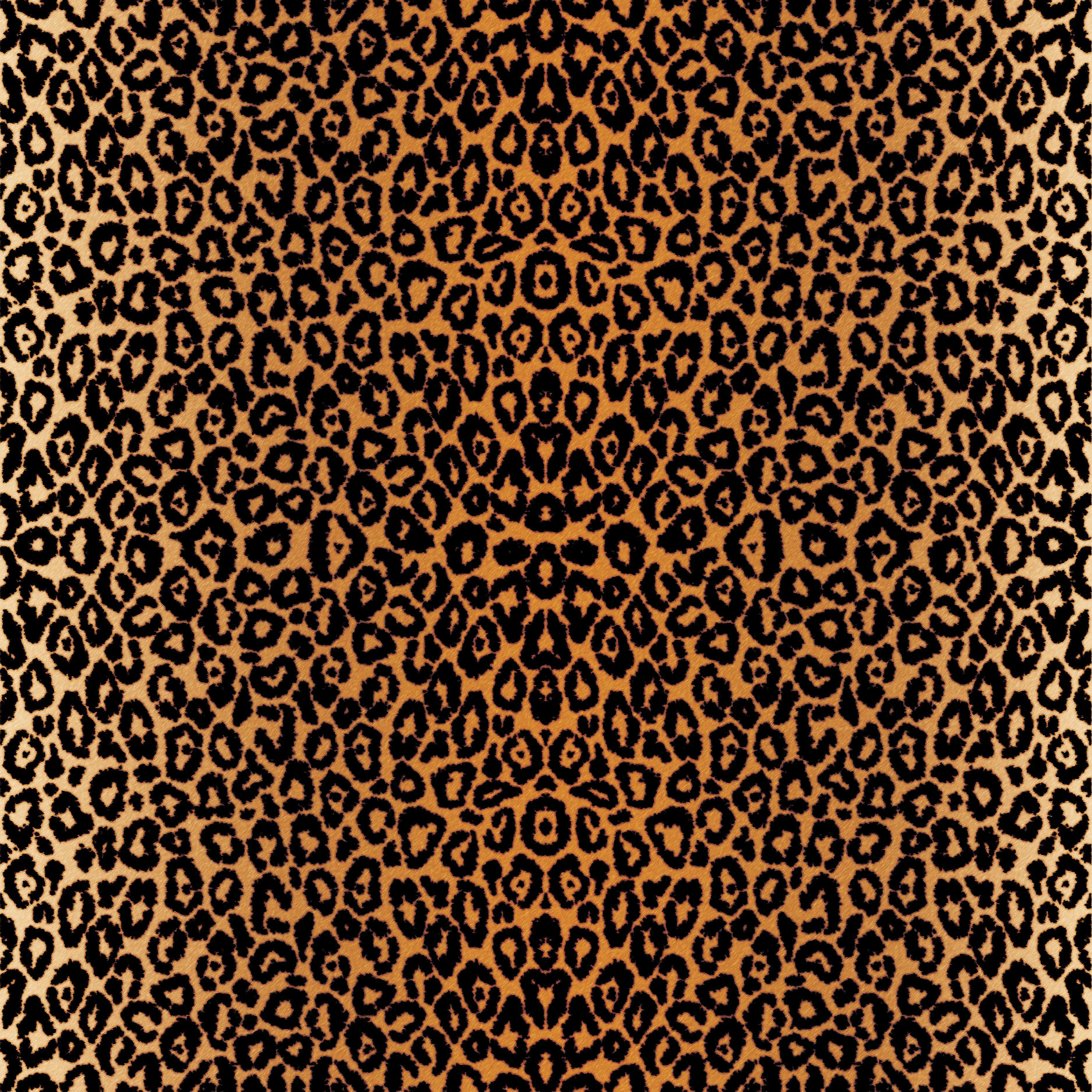 Leopardenmuster, orange und schwarze Flecken wiederholen sich über die Oberfläche.