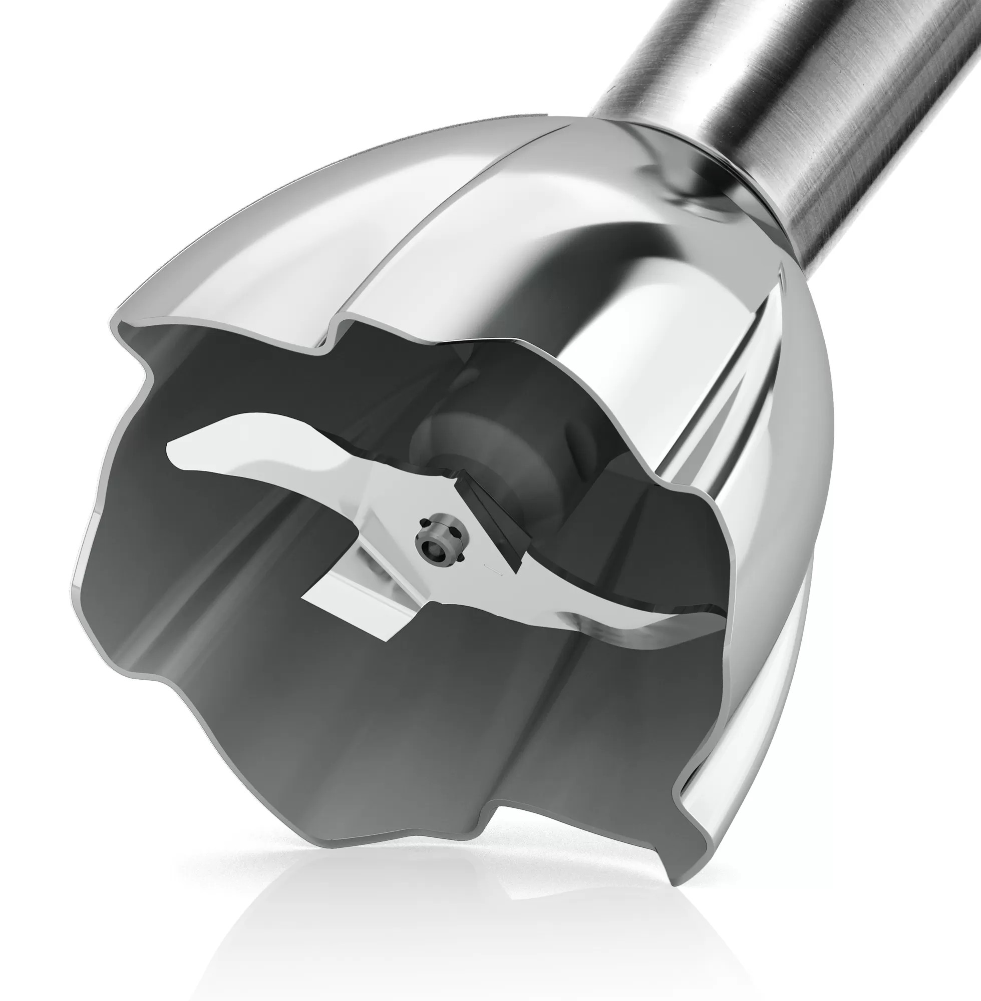 BOSCH Mixeur plongeur MaxoMixx (MS8CM6190)