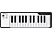 ARTURIA Microlab - Keyboard Controller USB/MIDI (Bianco/Nero)