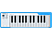 ARTURIA Microlab - Keyboard Controller USB/MIDI (Blanc/Bleu)