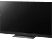PANASONIC TX-55HZC2004 - TV (55 ", UHD 4K, OLED)