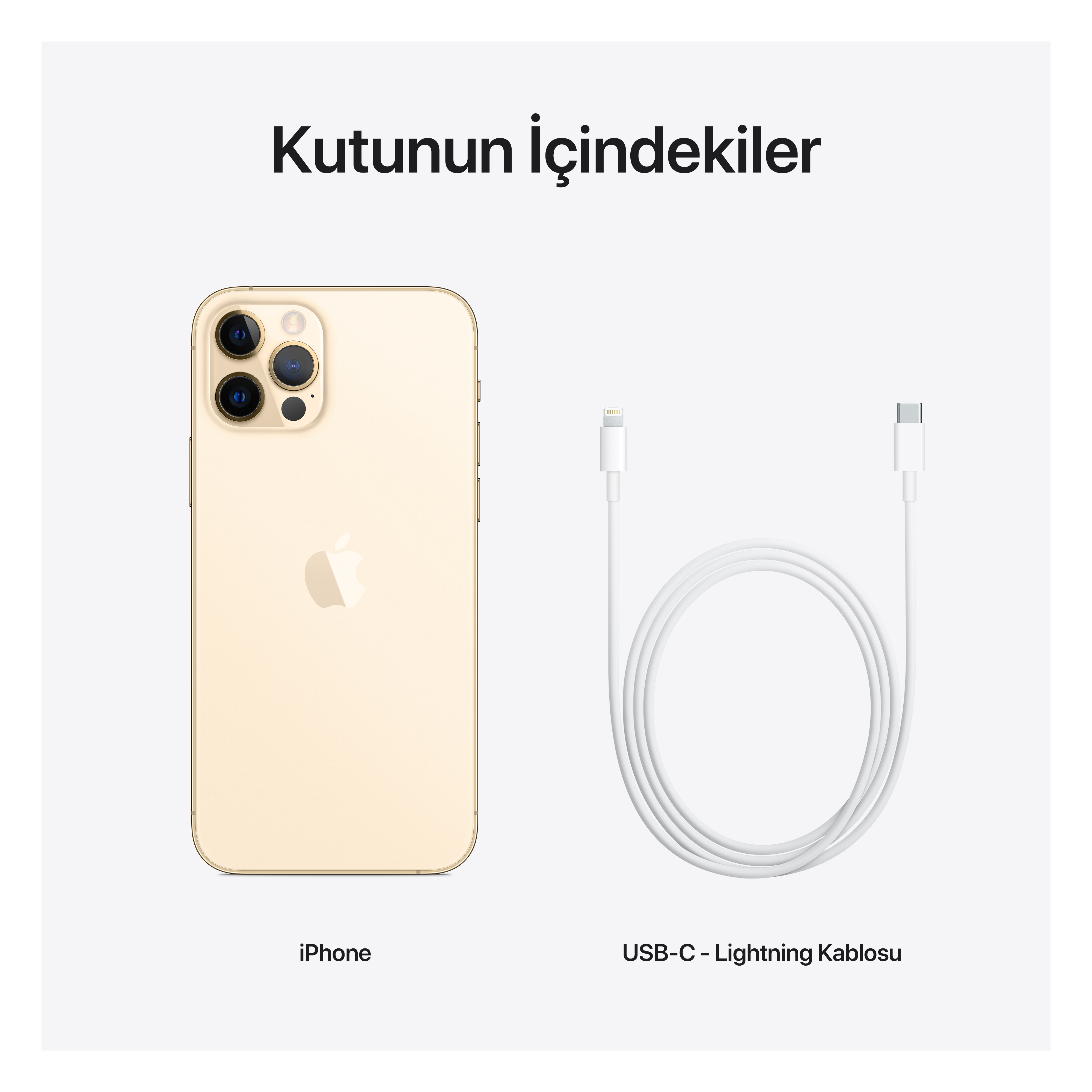 APPLE iPhone 12 Pro 128GB Akıllı Telefon Gold Fiyat & Özellik