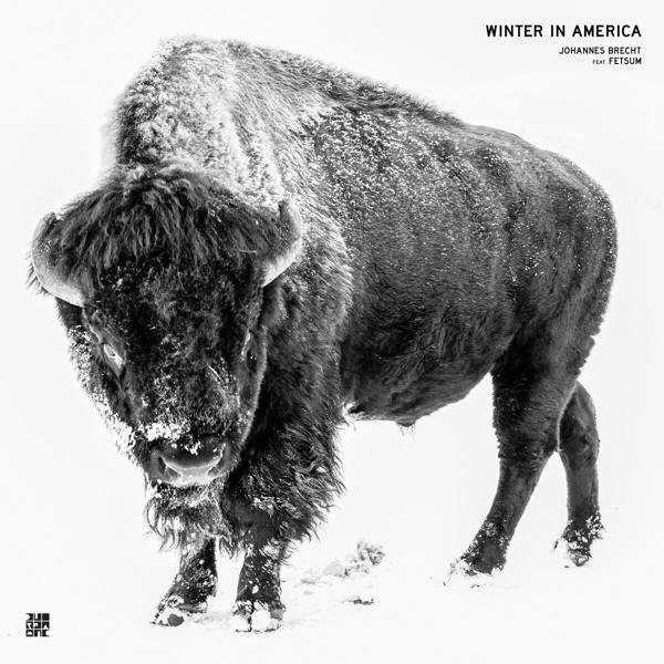 Johannes Brecht feat. Fetsum - Winter In America (White Vinyl)  - (Vinyl)