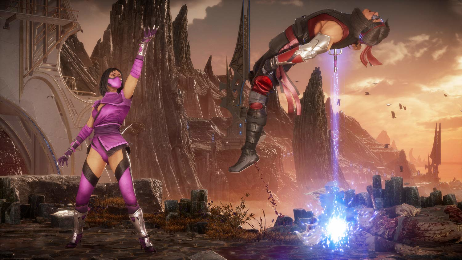 Due personaggi di un videogioco in una scena di combattimento. Lo sfondo mostra un paesaggio.