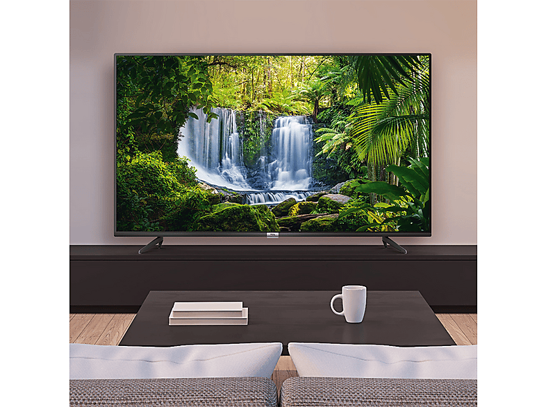 TV LED 43