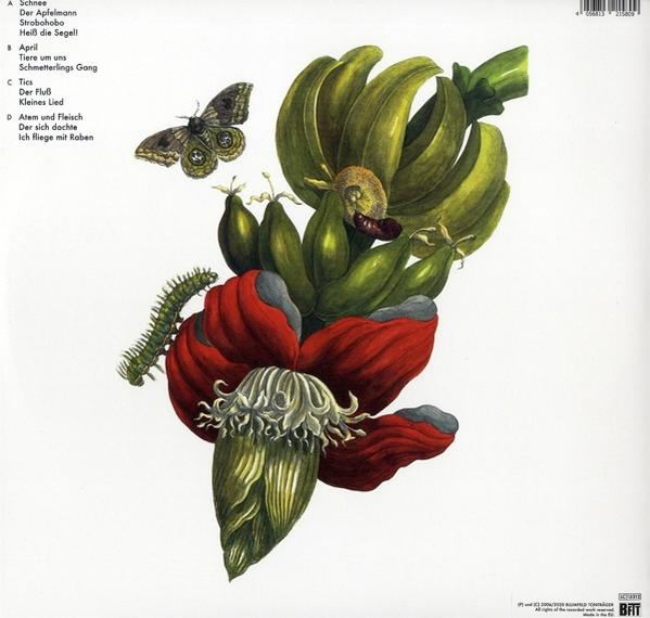 Kunstwerk aus Bananen, Blumen, einem Schmetterling und Text auf weißem Hintergrund.