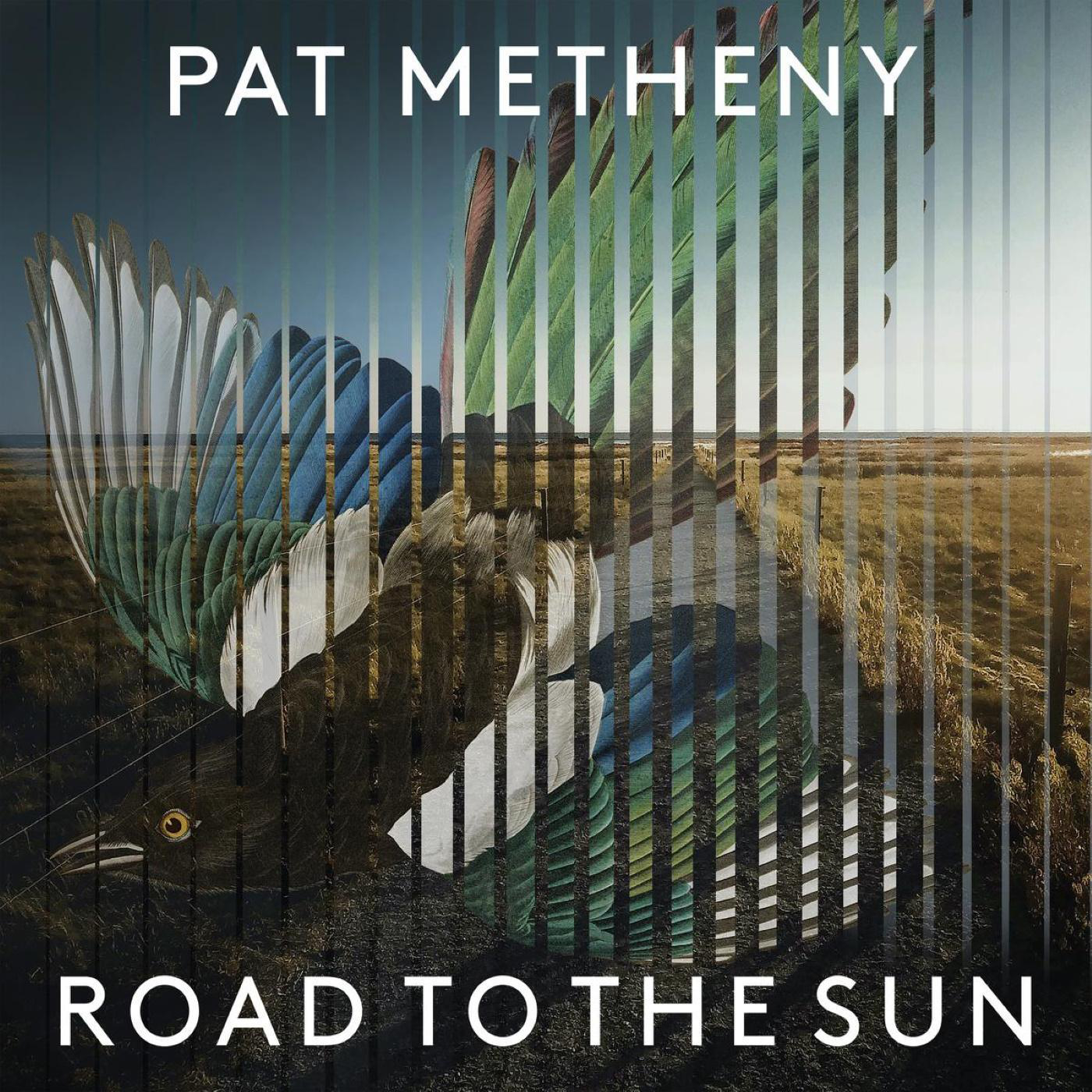 (Vinyl) Sun To The Metheny Road Pat - -