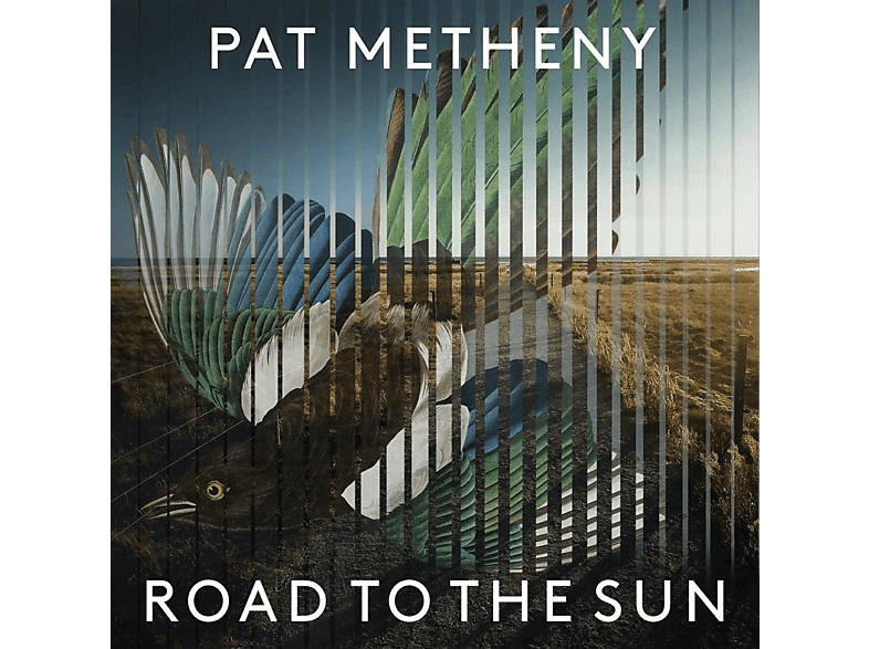 Road Pat To - (Vinyl) - Sun The Metheny