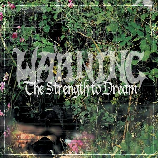 DREAM STRENGTH - Warning (Vinyl) The - TO
