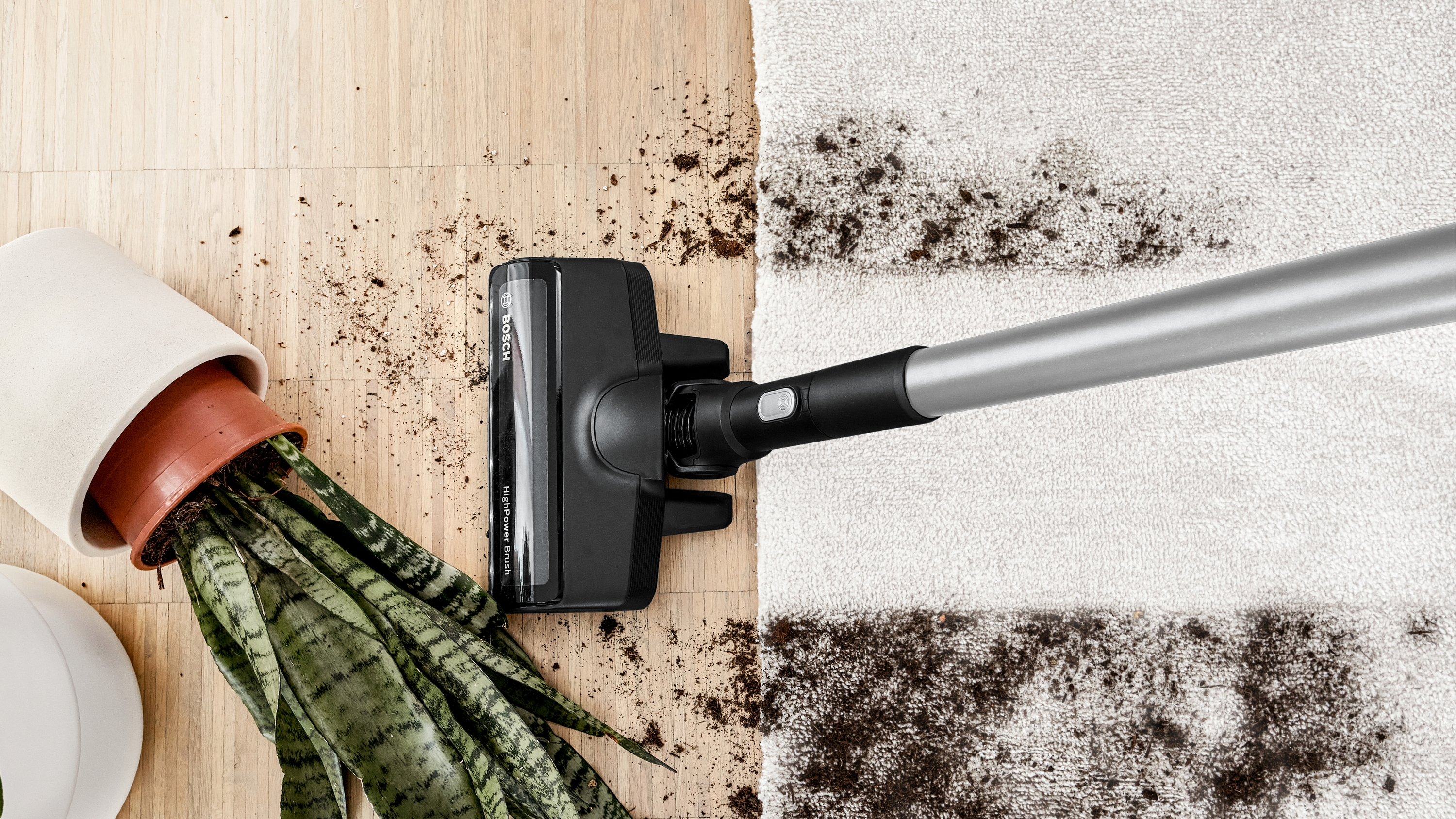 Ein Staubsauger reinigt einen Teppich. Links eine umgestürzte Pflanze mit Erde. Der Teppich ist halb gereinigt.