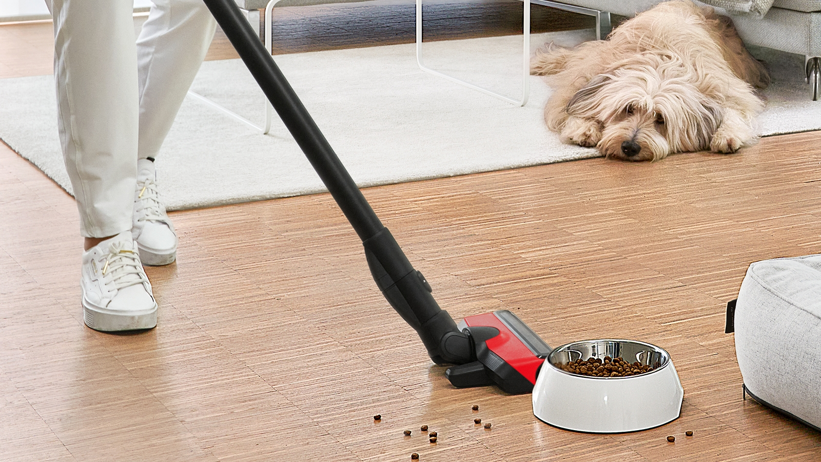 Person saugt Holzboden. Ein Hund und eine Futterschüssel befinden sich im Vordergrund.