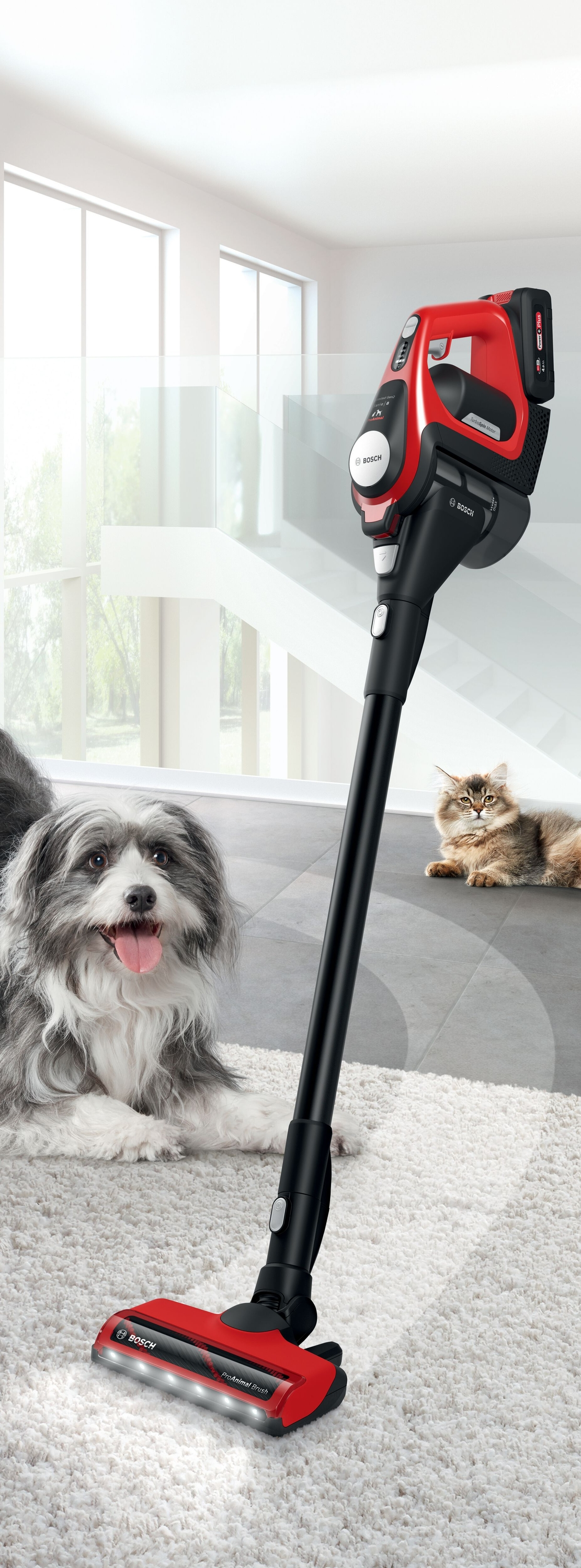 Ein Hund und eine Katze in der Nähe eines Staubsaugers. Der Staubsauger ist rot. Der Raum hat einen weißen Teppich.