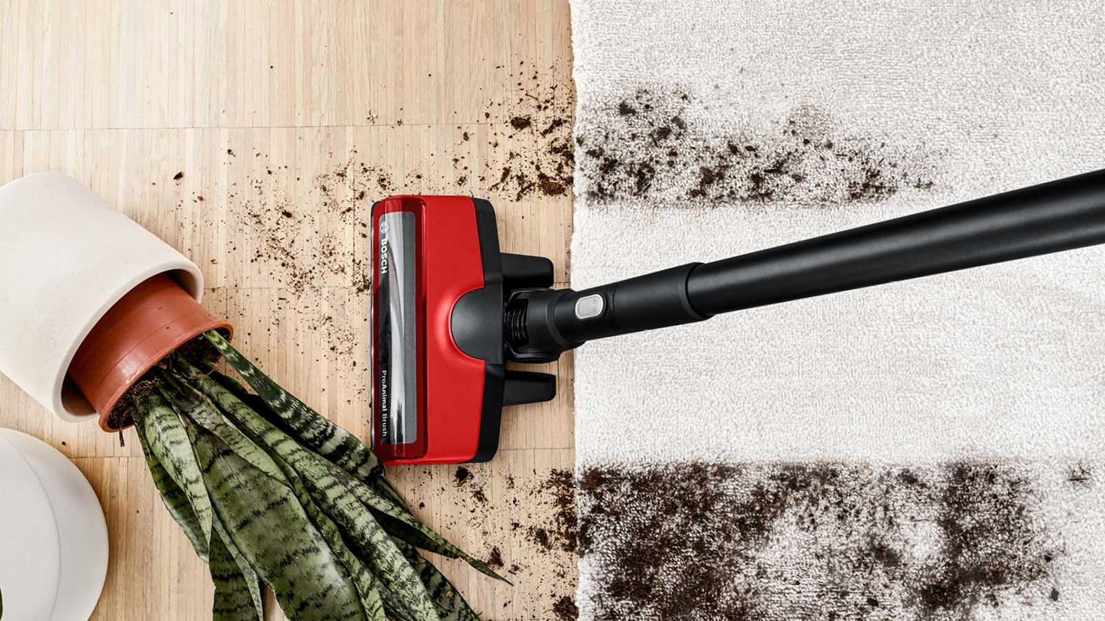 Staubsaugerkopf reinigt einen weißen Teppich. Schmutz und Erde auf dem Teppich und auf dem Holzboden.