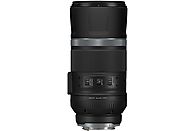 CANON RF 600mm f/11.0 IS STM