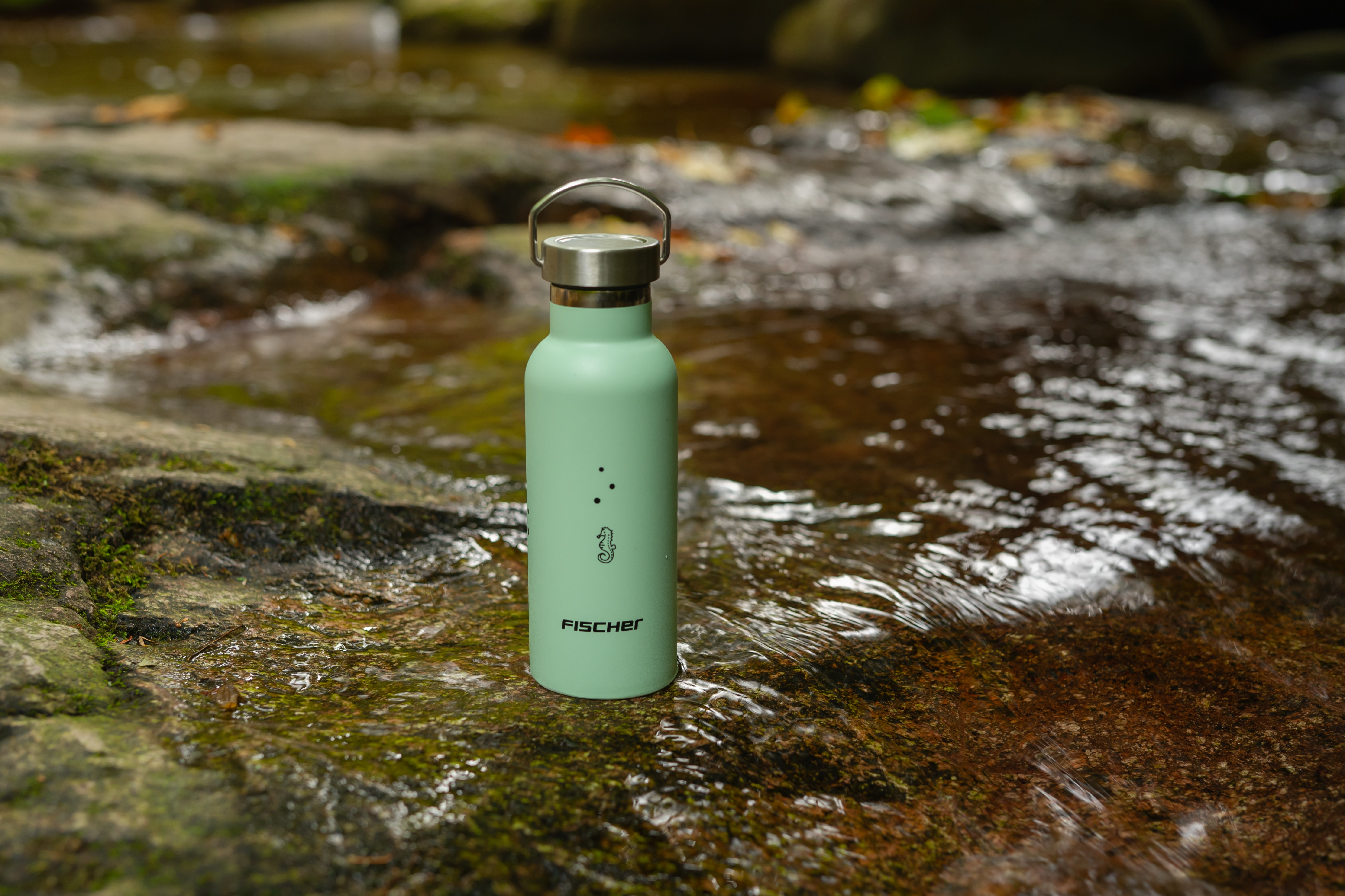 Grüne Wasserflasche mit Seepferdchen-Grafik. Liegt in einem Bach. Wasser fließt um Felsen.
