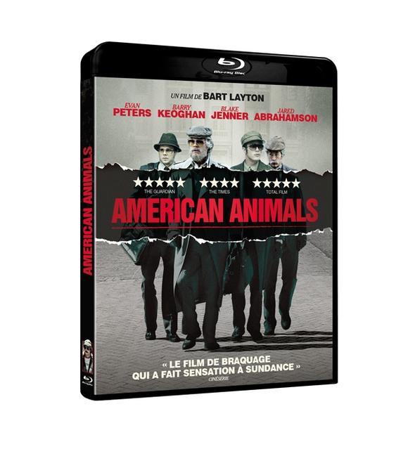 Couverture Blu-ray de 'AMERICAN ANIMALS', avec cinq hommes en costume et le titre du film.