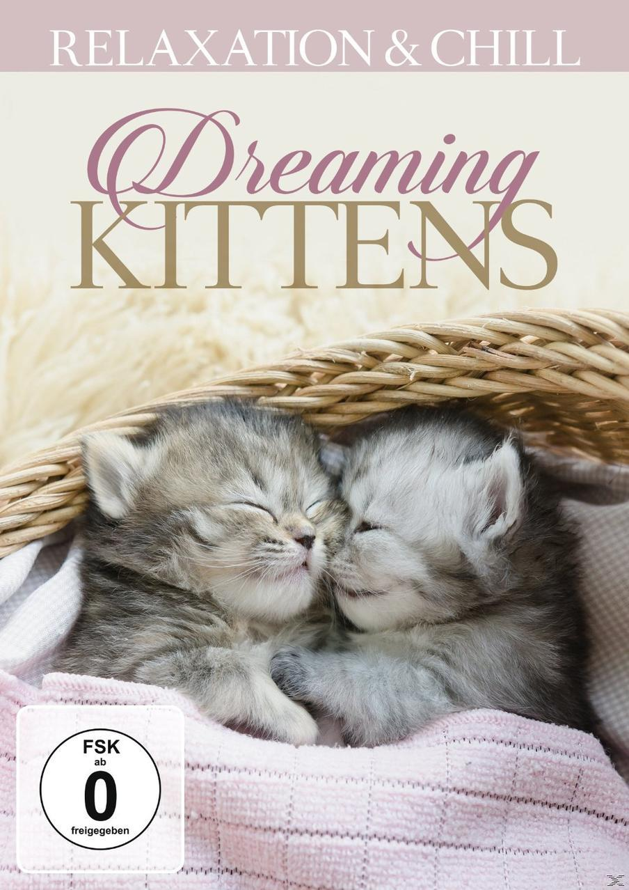 Relaxation & Chill - Dreaming Kittens DVD