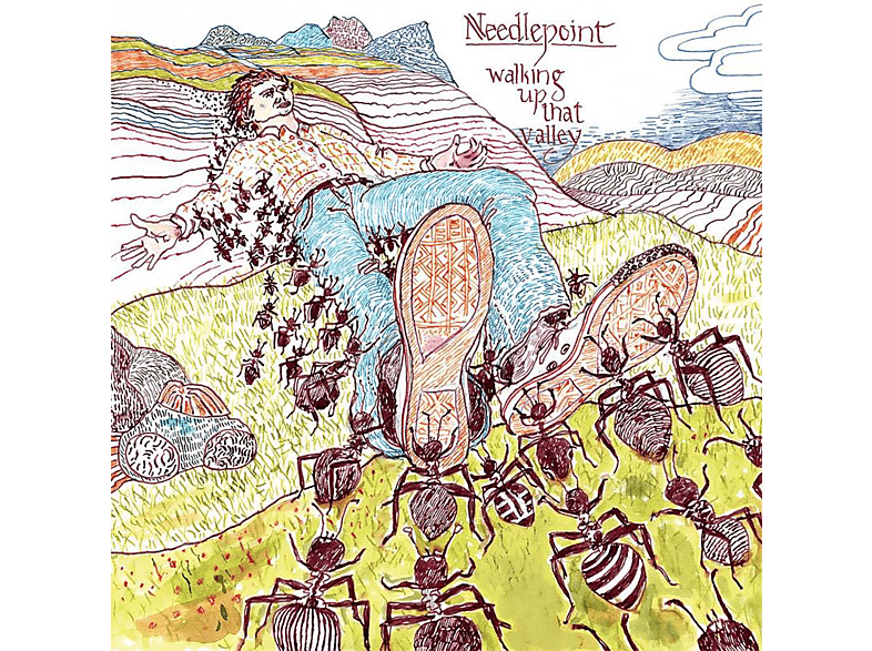Needlepoint - Walking up that Valley  - (CD)