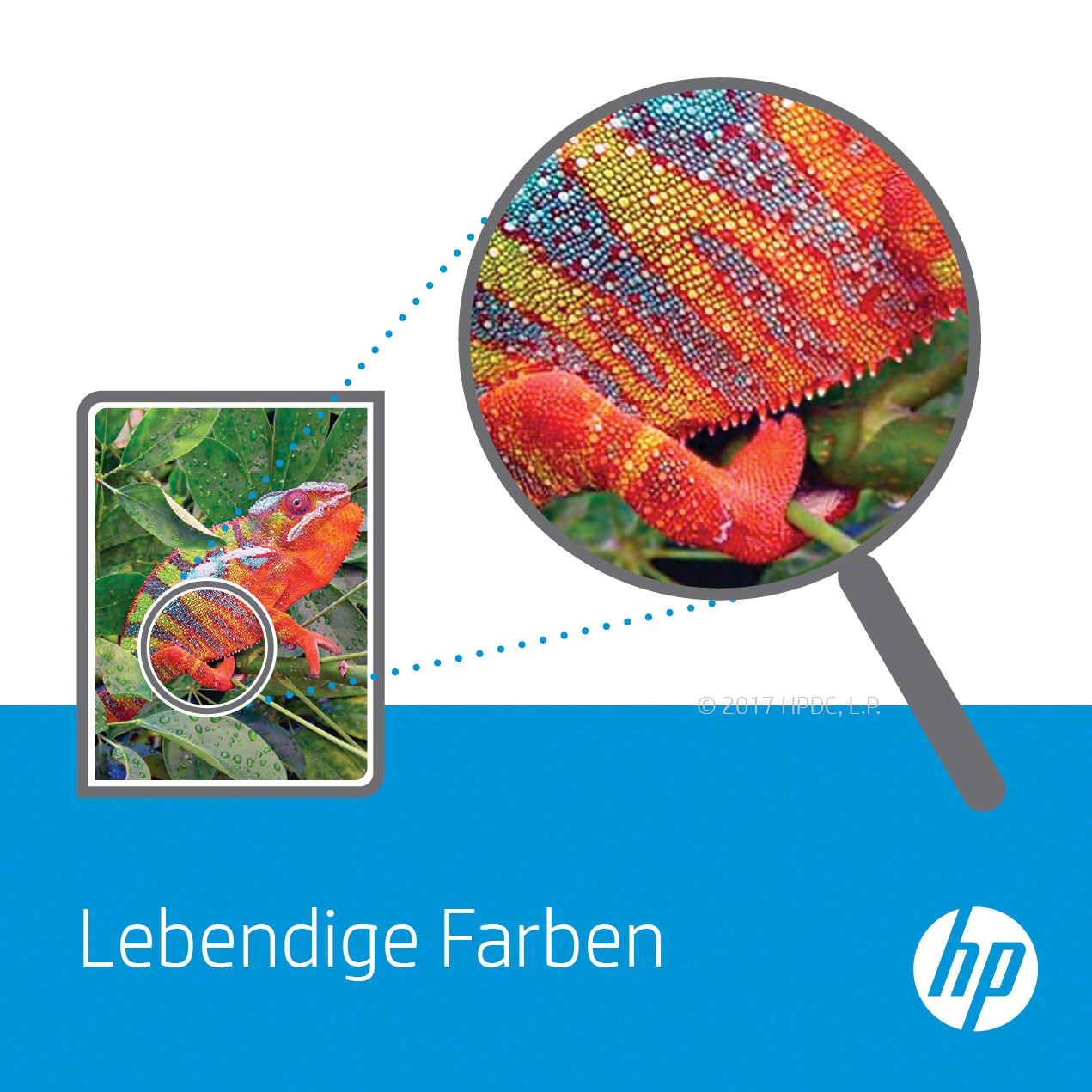Nahaufnahme der Haut eines Chamäleons, vergrößert durch einen Kreis. Lebendige, farbenfrohe Darstellung.