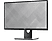 DELL S Series S2417DG - Monitor, 23.8 ", WQHD, 165 Hz, Schwarz