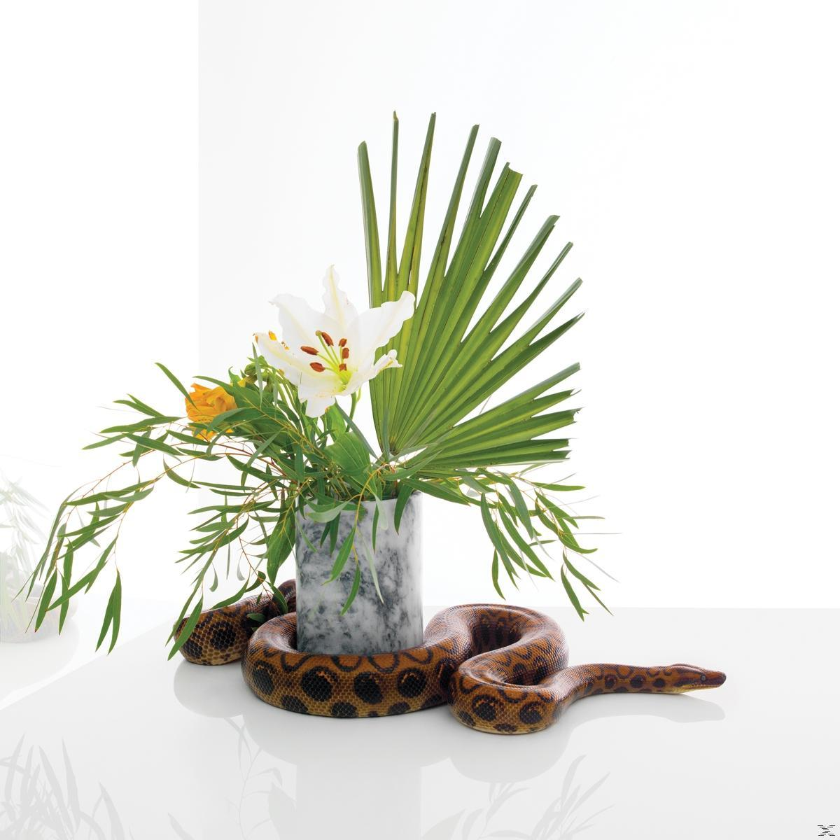 Blumen und Schlange auf weißer Oberfläche. Weiße Lilie, gelbe Blumen und grüne Blätter in einer Vase.
