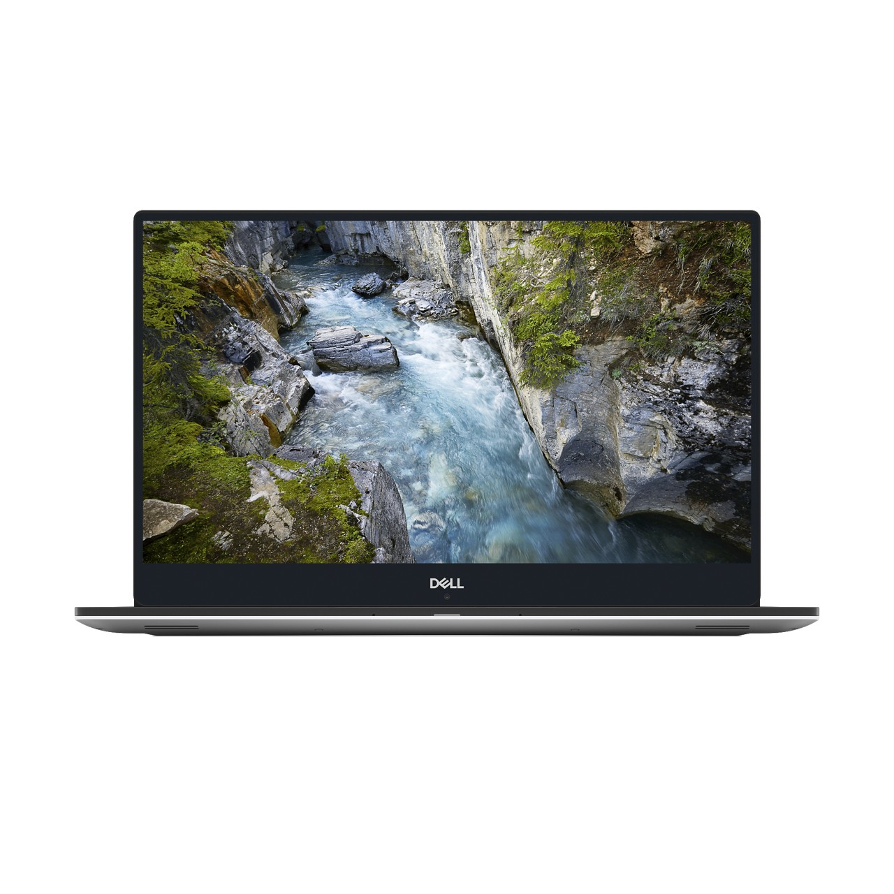 DELL Precision 5530 - 15,6 Zoll - Intel® Core™ i7 i7-8850H - 8 GB - 256 GB