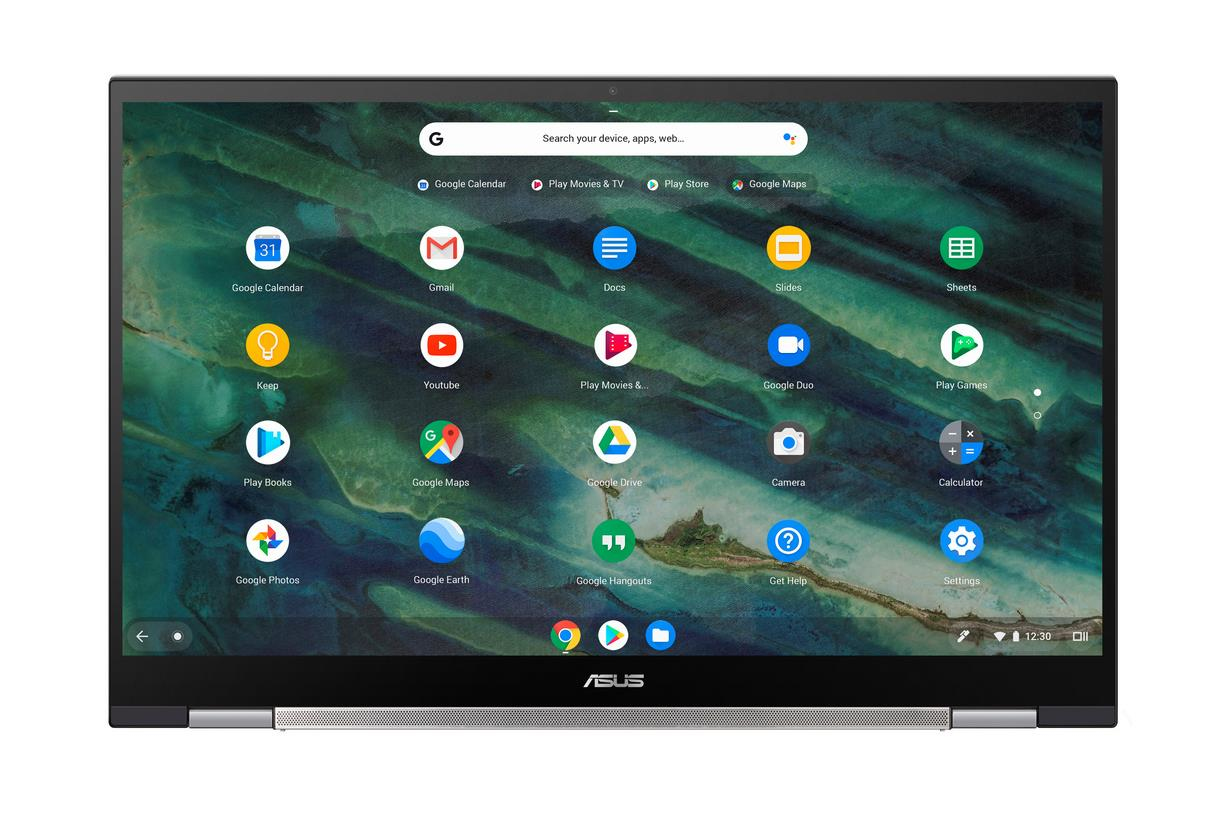 ASUS Chromebook Flip C436 (C436FA-E10029) - 14,0 Zoll - Intel® Core™ i5 10210U - 8 GB - 512 GB - Intel® UHD Graphics - Google ChromeOS