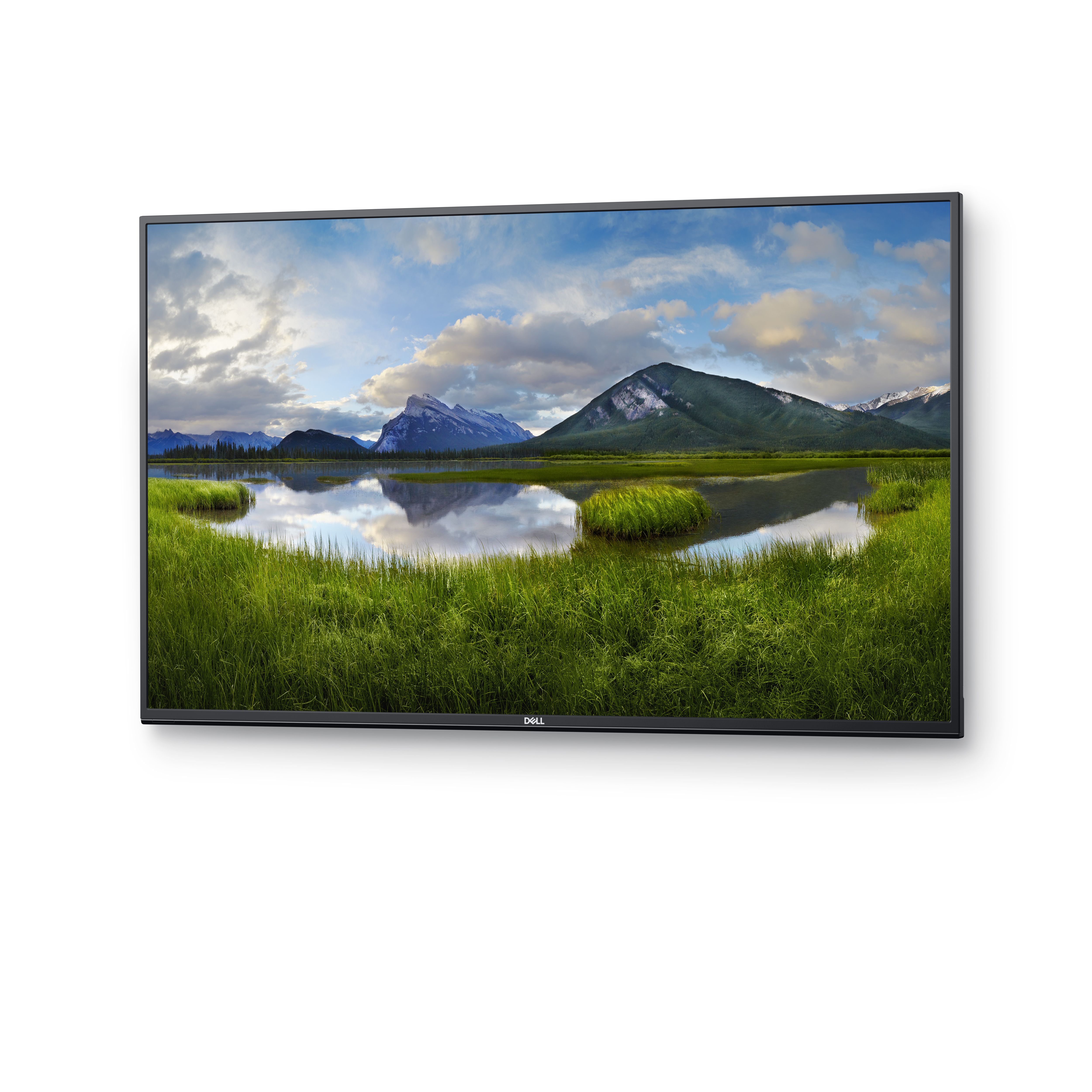 DELL - B2B C5519Q 55 Zoll  UHD 4K  Monitor  8 ms Reaktionszeit  