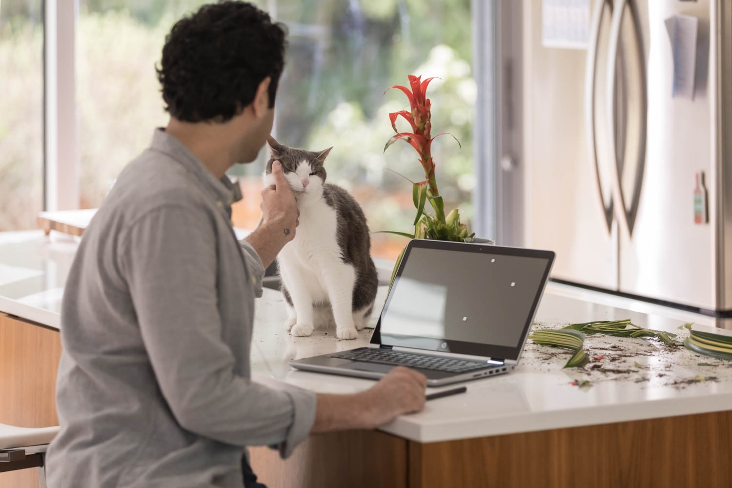 Ein Mann sitzt in einer Küche und streichelt eine Katze auf der Küchentheke neben einem Laptop.