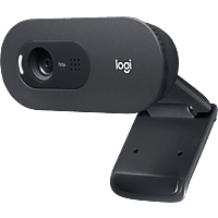 Logitech C505 HD Webcam