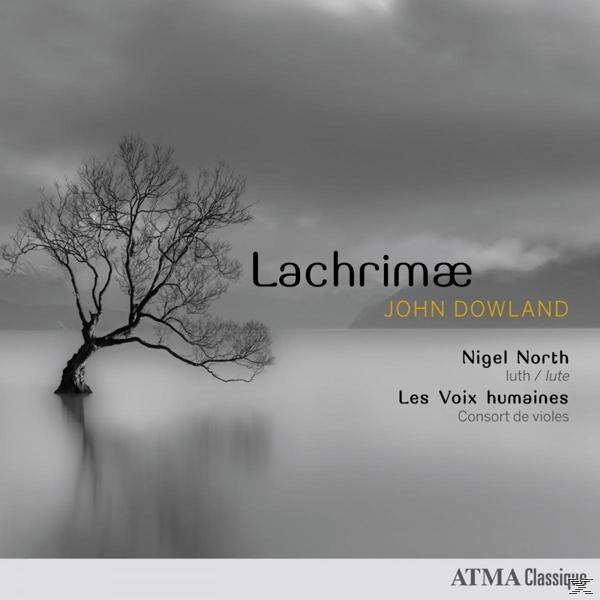 Nigel | Les Voix Humaines North - Lachrimae  - (CD)